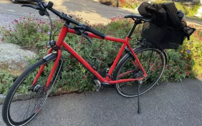 Rheinfelden AG – PW-Lenkerin verschwindet nach Unfall