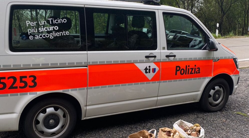 Camperio TI: Kontrollaktion – 13 von 25 Pilzsammlern hielten Vorschriften nicht ein Camperio TI: Kontrollaktion – 13 von 25 Pilzsammlern hielten Vorschriften nicht ein