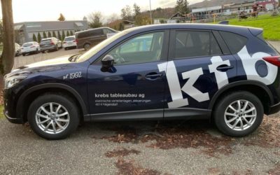 Hägendorf SO – Blauer Firmenwagen gestohlen – Polizei bittet um Mithilfe