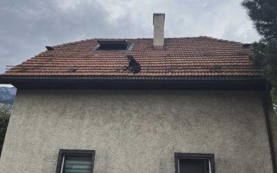 Kurioser Fall in Stadt Chur GR – Feuerwehr rettet verirrten Hund von Hausdach