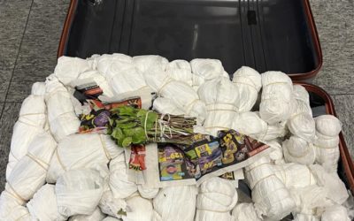 Flughafen Zürich ZH – 46 Kilogramm Khat sichergestellt