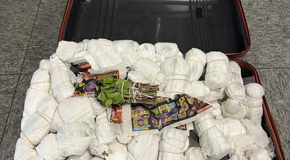 Flughafen Zürich ZH – 46 Kilogramm Khat sichergestellt