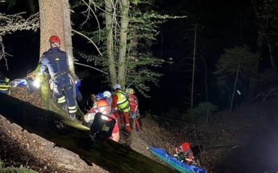 Cheyres FR – Landwirtschafts-Fahrzeug stürzt 100 Meter in die Tiefe – drei Verletzte