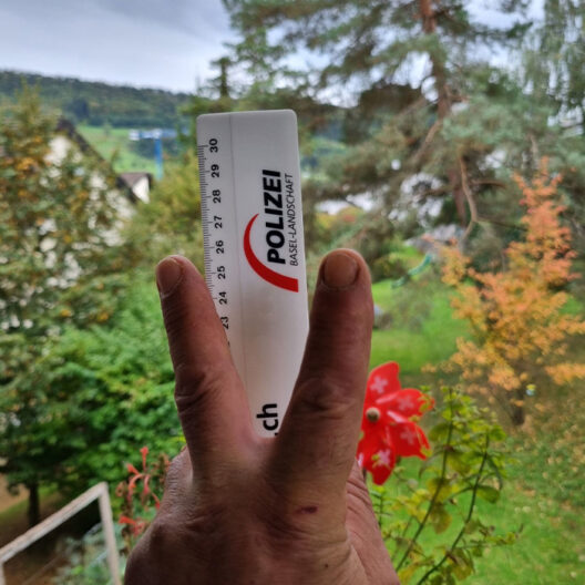 Polizei Basel-Landschaft: Herbst-Fotowettbewerb