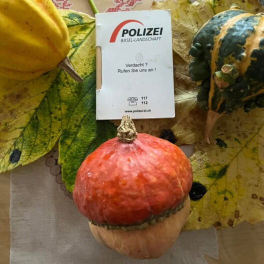 Polizei Basel-Landschaft: Herbst-Fotowettbewerb