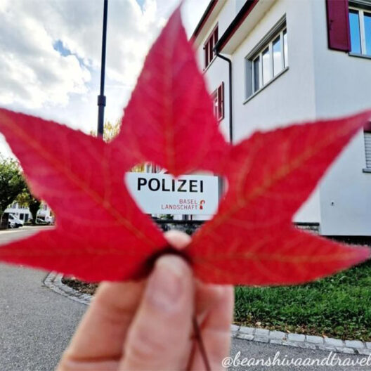 Polizei Basel-Landschaft: Herbst-Fotowettbewerb