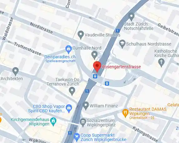 Stadt Zürich ZH legt Rekurs ein gegen Entscheid zur Rosengartenstrasse