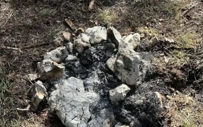 Hägendorf SO – Waldboden in Brand – menschliches Verschulden im Vordergrund