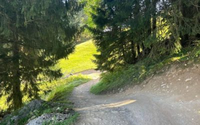 Flumserberg Tannenheim SG: Verunfallter Mountainbiker mit Rega ins Spital geflogen