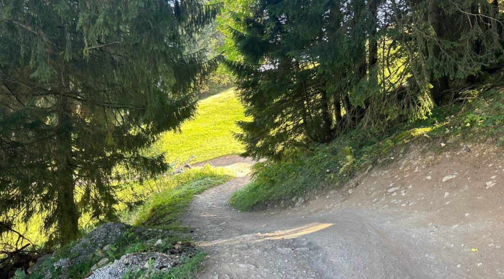 Flumserberg Tannenheim SG: Verunfallter Mountainbiker mit Rega ins Spital geflogen