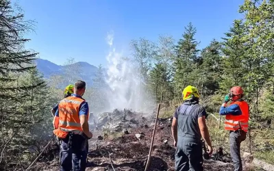 Emmetten NW – Flächenbrand im Brennwald – Zeugenaufruf