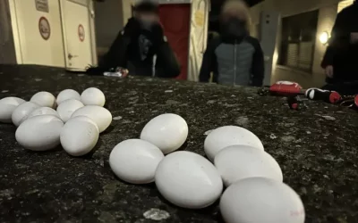 Halloween im Kanton Schwyz – Rund 70 Eier und über 40 Böller bei Jugendlichen abgenommen