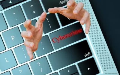 Kanton Bern – Ermittlungserfolg im Kampf gegen organisierte Cyberkriminalität