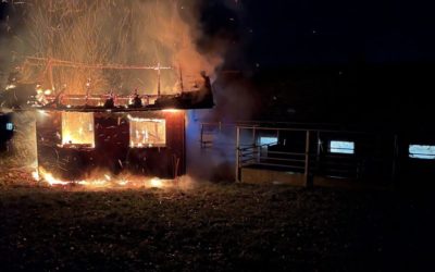 Buttisholz LU – Bienenhaus in Vollbrand