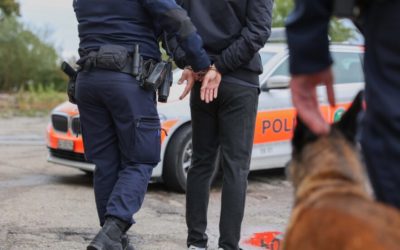 Sennwald SG – Zwei mutmassliche Diebe (Marokkaner, 16, 17) verhaftet