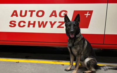 Kapo Schwyz – Mit unseren Polizeihunden führen wir regelmässig Trainings durch