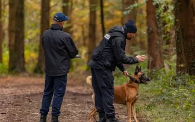 Möhlin AG – Zwei Diensthunde – Zwei Festnahmen nach Einbruch