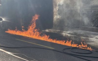 Linienbus steht in Hausen AG in Flammen – hohe Rauchwolke