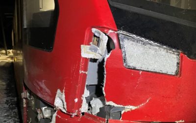 Unfall in Madulain GR – RhB-Zug erfasst fünf Pferde – alle Tiere tot