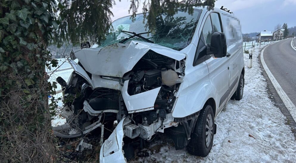 Hohentannen TG – Lieferwagenfahrer (25) wegen Sekundenschlaf verunfallt