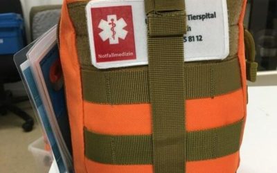 Stadtpolizei Zürich – Polizeihund erleidet medizinischen Notfall