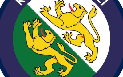 Frauenfeld TG – Autofahrer (32) fahrunfähig unterwegs