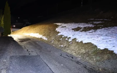 Sedrun GR – Jäger erschiesst fremden Hund