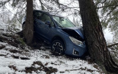 Davos Wiesen GR – PW-Lenkerin (82) stürzt Böschung hinunter