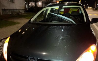 Oftringen AG – Fussgänger (45) und Hund angefahren und verletzt