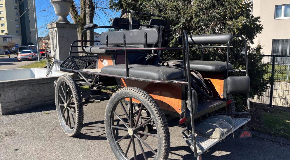 Gossau SG – Pferd stirbt bei heftigem Unfall – Kutscher (75) landet im Spital