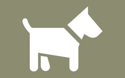 Kanton Glarus fordert strengere Regeln für Einfuhr von Hundewelpen