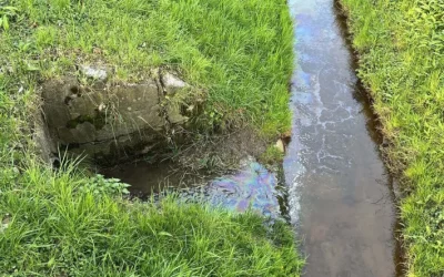 Rebstein SG – Mehrere Bäche verunreinigt