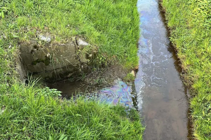 Rebstein SG – Mehrere Bäche verunreinigt