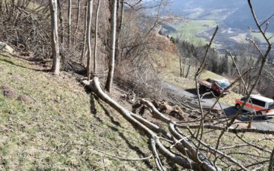 Ruschein GR – 63-jähriger Landwirt bei Holzerarbeiten schwer verletzt