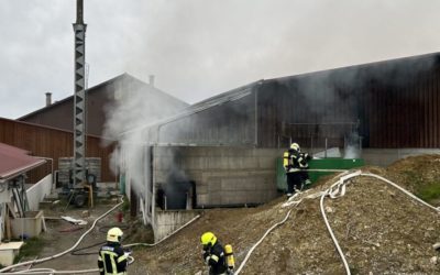 Oppikon TG – Brand in einem Schweinestall – mehrere Schweine kamen ums Leben