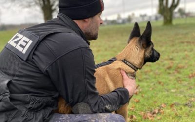 Kapo Solothurn – Ein guter Polizeihund braucht ein gründliches Training