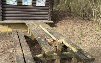 Thayngen SH – Vandalen richten enormen Sachschaden an Grillstelle an
