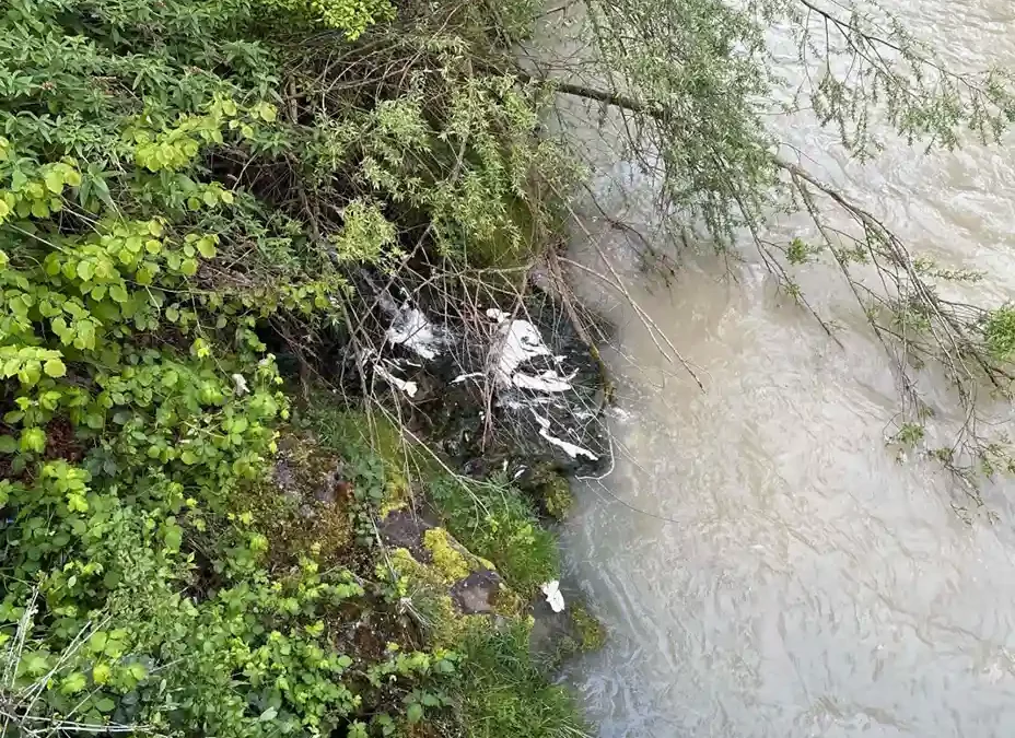 Goldach SG – Gewässer verschmutzt