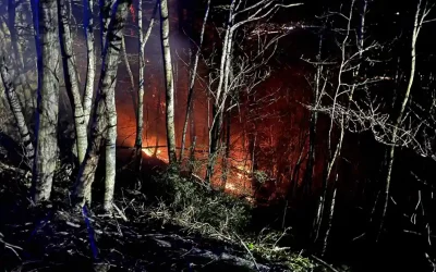 St.Gallen – Mehrere Brandfälle in Wald und Wiese