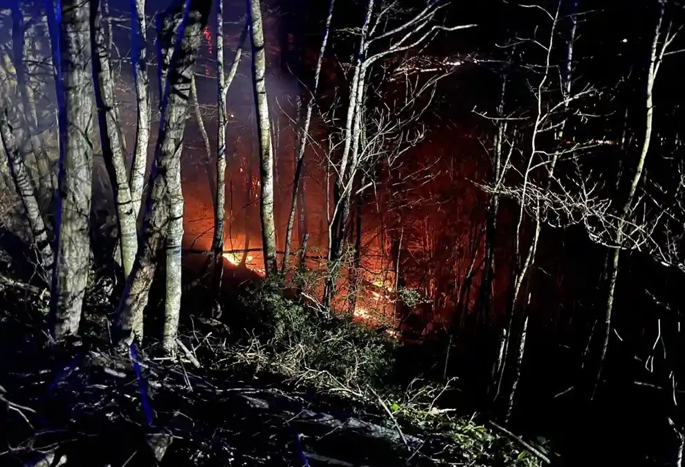 St.Gallen – Mehrere Brandfälle in Wald und Wiese