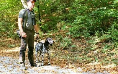Stadt Zürich – Hunde im Wald – Leinenpflicht ab 1. April
