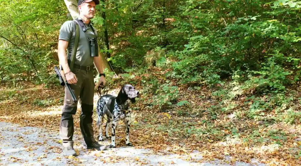 Stadt Zürich – Hunde im Wald – Leinenpflicht ab 1. April