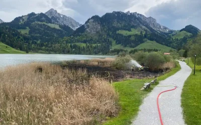 Plaffeien FR – Schilfbrand am Schwarzsee