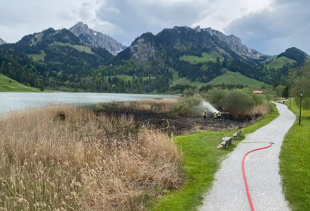 Plaffeien FR – Schilfbrand am Schwarzsee
