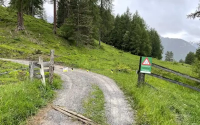 Tarasp GR – Frau mit Hunden von Kuhherde angegriffen