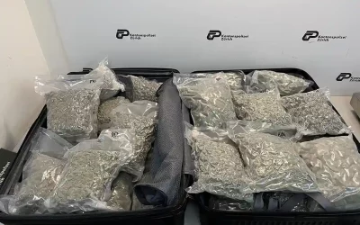 Zürich Flughafen – Zwei Drogenkuriere in zwei Tagen verhaftet