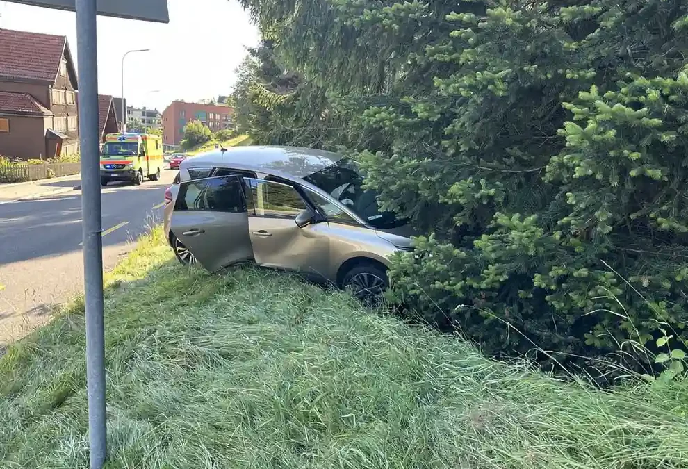 Grub AR – Selbstunfall