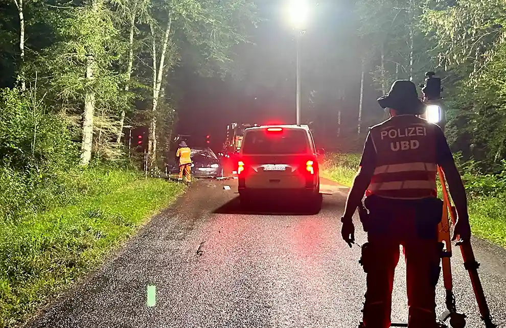 Rheinau ZH – Zwei Verletzte bei Selbstunfall mit Personenwagen