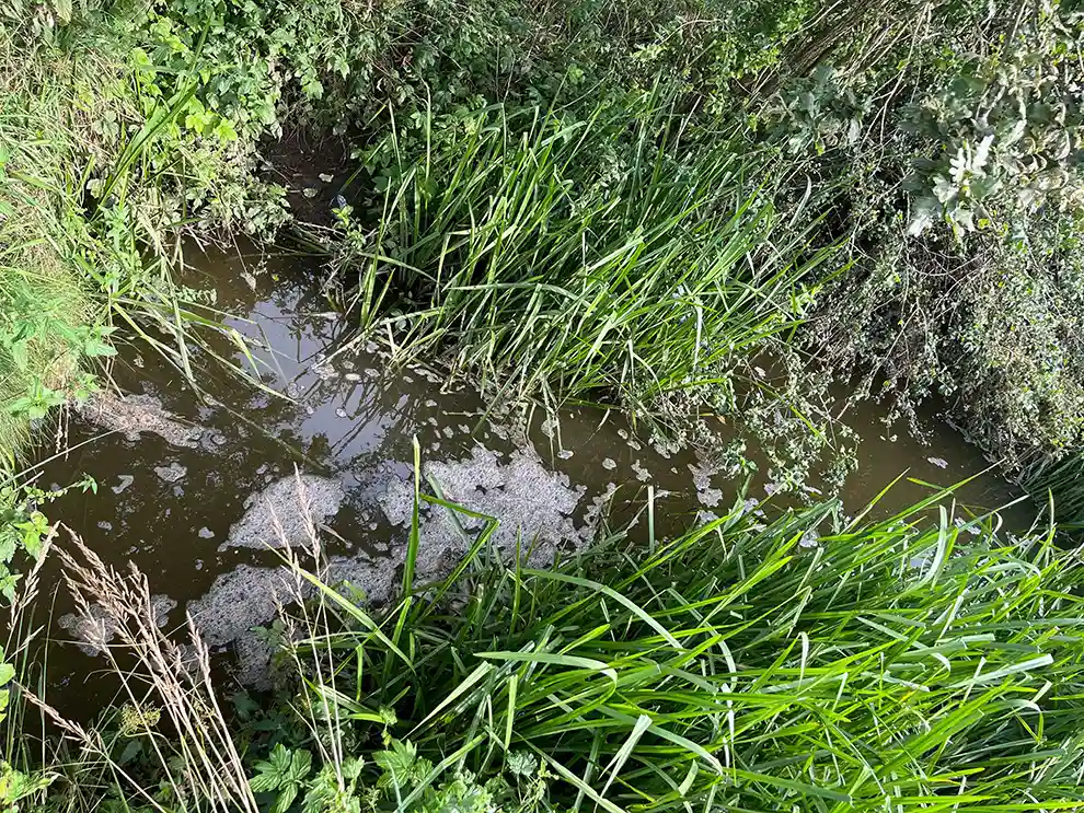 Niederhelfenschwil SG – Jauche gelangt in Kanal Niederhelfenschwil SG – Jauche gelangt in Kanal
