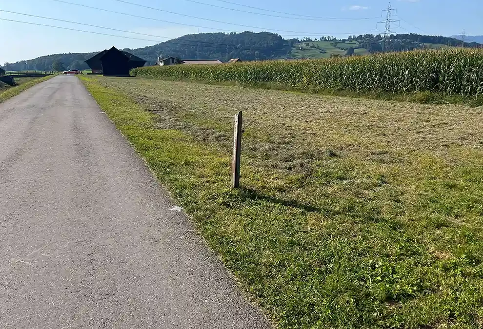 Schänis SG – E-Bike-Fahrer verstorben – Zeugenaufruf